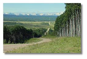 view into the Bearberry Valley from Hill