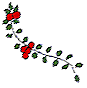 Bearberry berries or Kinnikinik